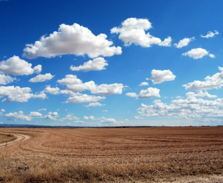 brown field and blue sky